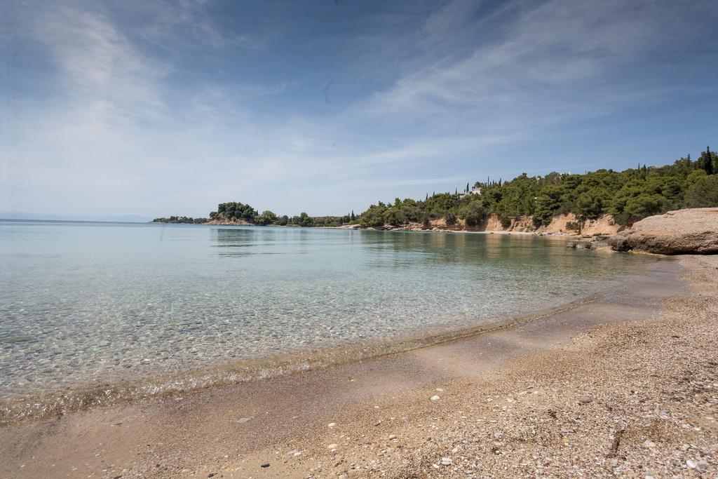 Dream Summer Villa بورتو خيلي المظهر الخارجي الصورة