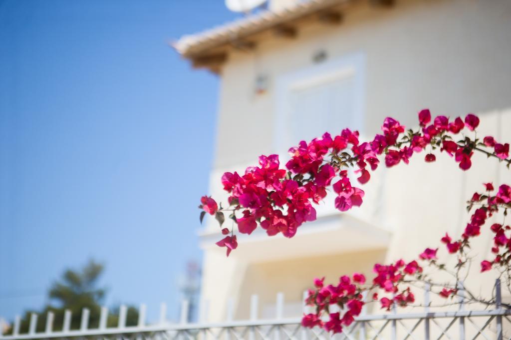 Dream Summer Villa بورتو خيلي المظهر الخارجي الصورة
